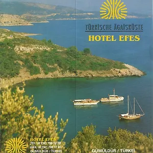 https://hotel-efes.aegeanhotels.net